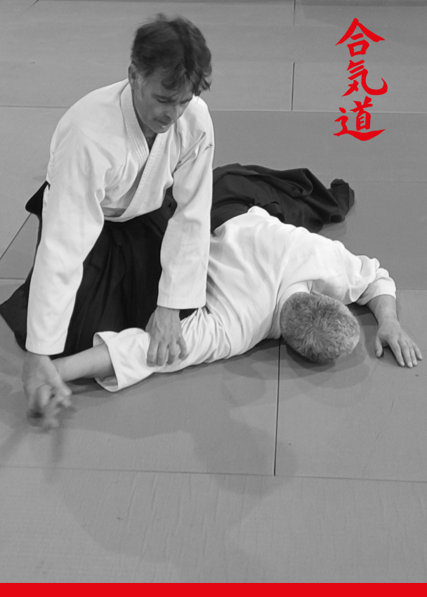 immobilisation aïkido